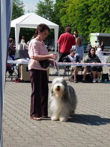 Litomerice 2009 011.jpg